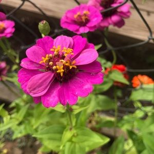 Meet your Posher, Kisha